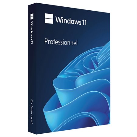 Windows 11 Professional Online Activation